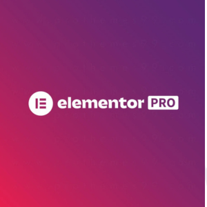 Elementor Pro