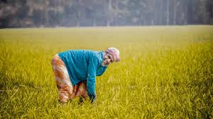 অভিজ্ঞতা ছাড়া গ্রামে ৫টি লাভজনক ব্যবসা Mufti Rejaul Karim